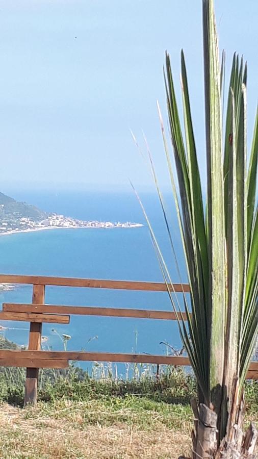 Tenuta Belvedere Cilento Montecorice Bagian luar foto
