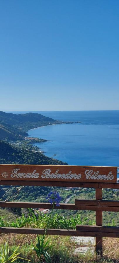 Tenuta Belvedere Cilento Montecorice Bagian luar foto